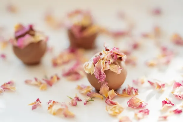 Casino Paradise Win Android/iOS Forrit